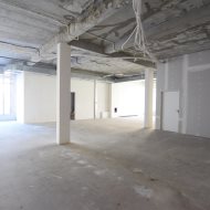 Premise for sale